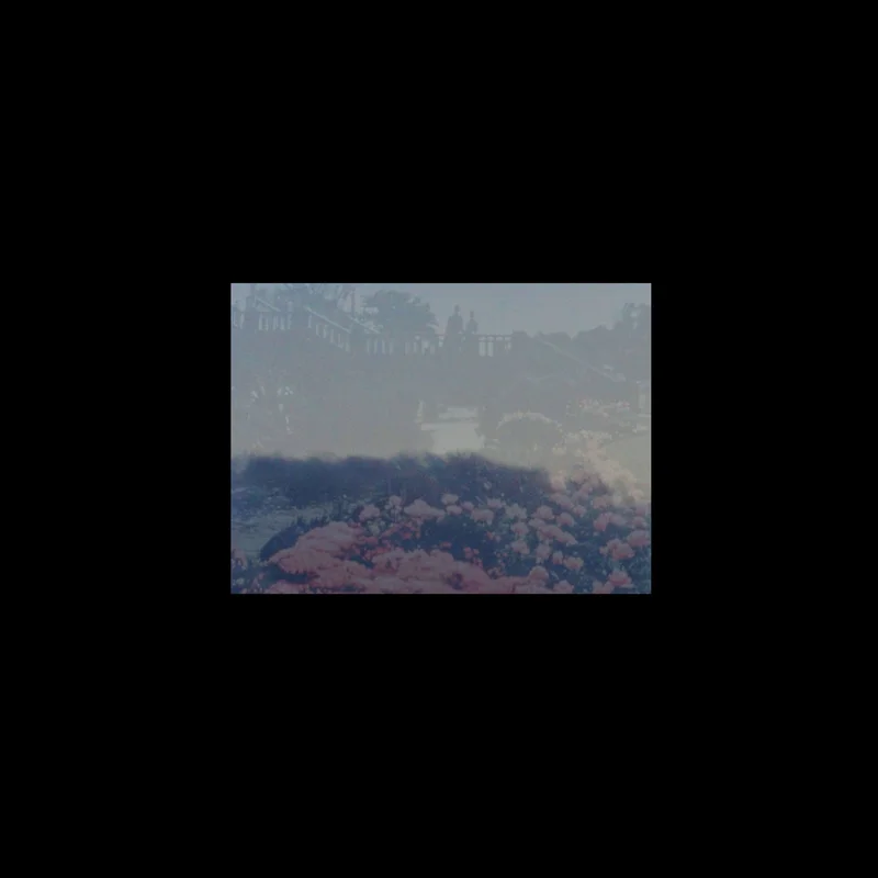 2026_05_07_2742169