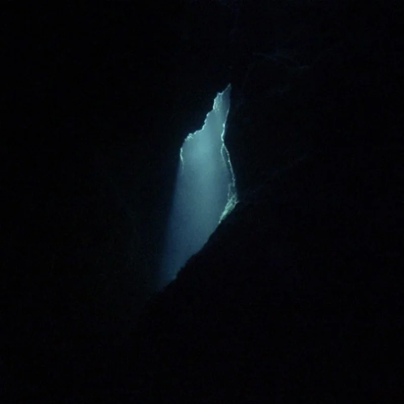 2026_05_08_2877054