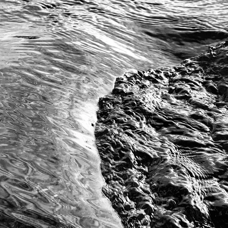 2026_05_08_2892067
