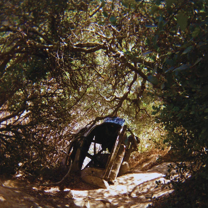 2026_05_08_2903493
