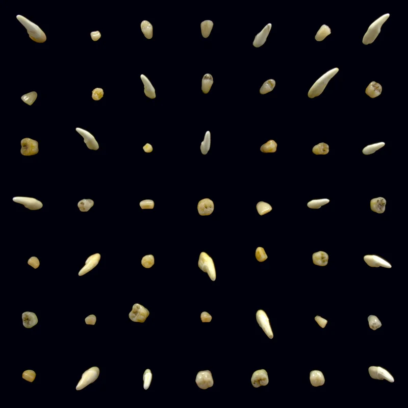 2026_05_13_3860370