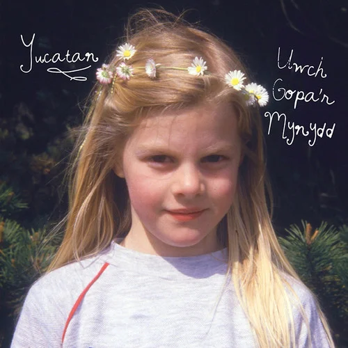 applestumprecords202605081759192914399