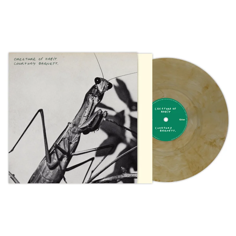 strangerthanparadiserecords202605071107332711356