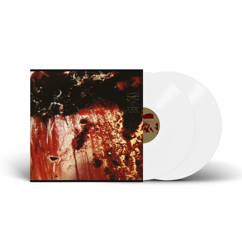 strangerthanparadiserecords202605071255012734327