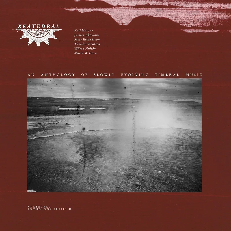 strangerthanparadiserecords202605071915412789232