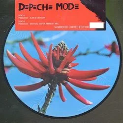whatrecords202605071242242730640
